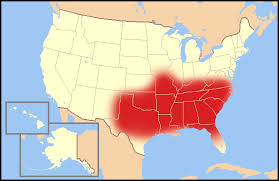 In order to avoid plagiarism, you need to cite all direct quotes or paraphrasing from other sources. Bible Belt Wikipedia