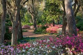 Botanical Gardens In Florida Flowers