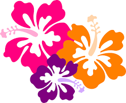 Tutte queste risorse fiori sono scaricabili gratuitamente su pngtree. Fiori Hawaii Png Free Png Images Vector Psd Clipart Templates