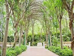 Hartley Botanica Somis Wedding Gardens