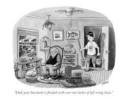 New Yorker Cartoon Dad Your Basement