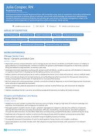 Writing a nursing curriculum vitae. Nurse Resume Example How To Guide For 2021
