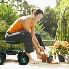 Heavy Duty Garden Cart With Tool Tray