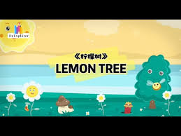 lemon tree s tiktok you