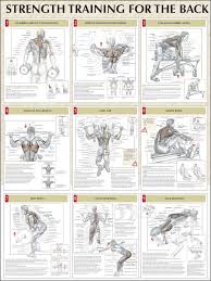 Bodybuilding Exercises Pictures Training Pdf In Hindi Images