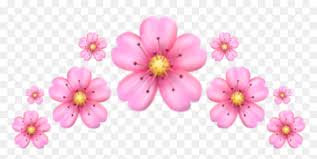 emoji crown pink flower corona
