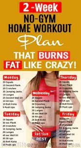 2 Week Workout Plan At Home Which Will