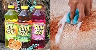 can i use pine sol on carpet o lidy