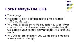 College Admission Essay  Example  Topics  Format   EssayPro  ucla admissions essay Monkey