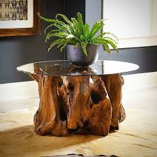 Natural Teak Root Coffee Table High