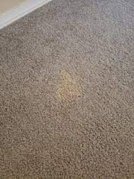 jeff s carpet repair 2770 telluride dr
