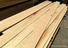 birdseye maple lumber guide amazing 2023