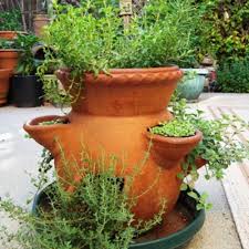 Growing Herbs In A Strawberry Pot
