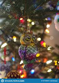 Colorful Owl Christmas Ornament In Tree Owl Closeup And
