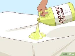 how to get cat urine out of a mattress