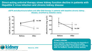 Direct Acting Antiviral Therapy Slows Kidney Function