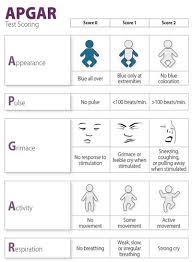 Illustrated Apgar Appearance Pulse Grimace Activity
