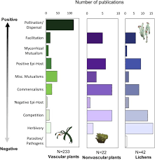 biotic interactions in epiphyte ecology