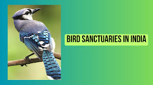 bird sanctuaries in india list updated