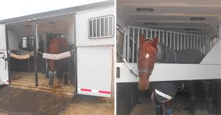 should you tie a horse in a trailer