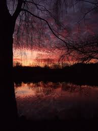 Wolkenherde - Bild \u0026amp; Foto von Helena Hamann aus Sonnenuntergänge ...