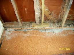 south jersey termite pest control
