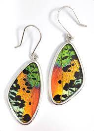earrings made with real erfly wings