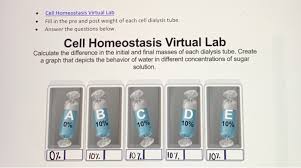 Also, learn about cell transport! Solved Cell Homeostasis Virtual Lab Fill In The Pre A Chegg Com