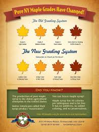 New Yorks Maple Syrup Grading Chart Has Been Updated