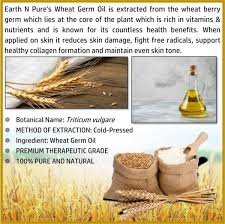 wheat germ oil 15ml 200ml earthnpure