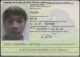 gallery of fake id doents cards