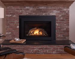 Wood Vs Gas Fireplace Inserts