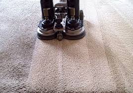 carpet cleaner nz cleaning