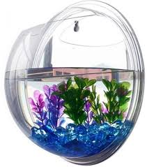 Hanging Fish Tank Bowl Creative