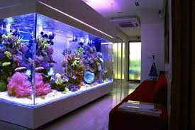 Aquarium Home Design Elements gambar png