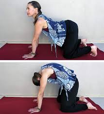 yoga for neck pain neck and shoulder