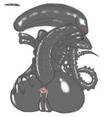 g4 :: Xenomorph Anal by canime