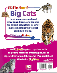 Or they might just not recognize their own name. Dkfindout Big Cats Dk 9781465479297 Amazon Com Books
