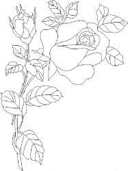 Un peisaj cu trandafiri in creion. Planse De Colorat Cu Flori Trandafiri Desene De Colorat Cu Flori Trandafiri Flori Trandafiri De Colorat