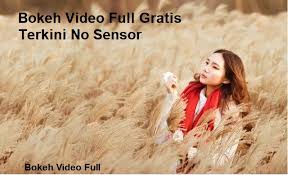 Make social videos in an instant: Bokeh Video Full Gratis Terkini No Sensor Masterpointofsale