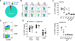 T Cells And Nk Cells In Healthy Human Skin Express Ccr8 A