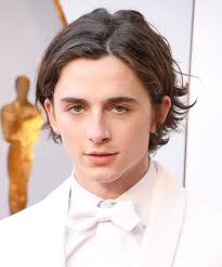 Timothée chalamet has a particularly stylish haircut in netflix's the king. This May Be Timothee Chalamet S Best Hair Look Yet