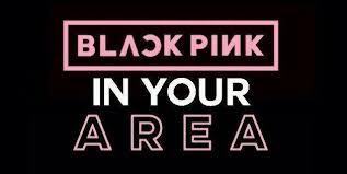 The blackpink logo is composed of a wordmark, that is placed on a rectangular background. Blackpink In All Areas