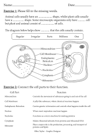 This is a great graphic organizer to help your students compare and contrast the similarities and differences between plant and animal cells. Artstation Plant And Animal Cell Worksheet Ks3 Bex Taylor