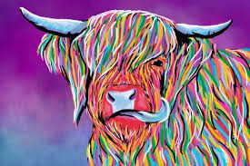 Highland Cattle Wall Art Highland Cows