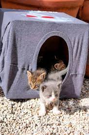 20 Free Diy Cat House Plans Outdoor