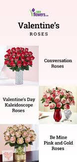 Both are excellent options and a mix of the two will send an unmistakable message. Valentine S Day Roses Roses Valentines Day Valentines Roses Rose