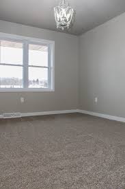 Gray Plush Carpet Bedroom Carpet