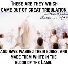 Revelation 7:14 And I said unto... - True Biblical Christians | Facebook