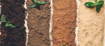 soil used in agriculture to grow